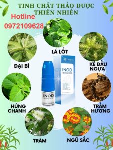 Thành phần Xịt xoang lá lốt Huyền Phi