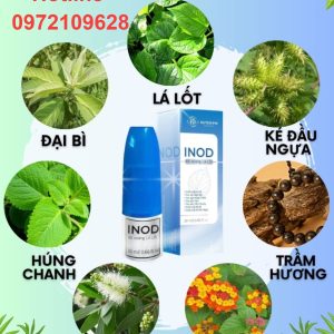 Thành phần Xịt xoang lá lốt Huyền Phi